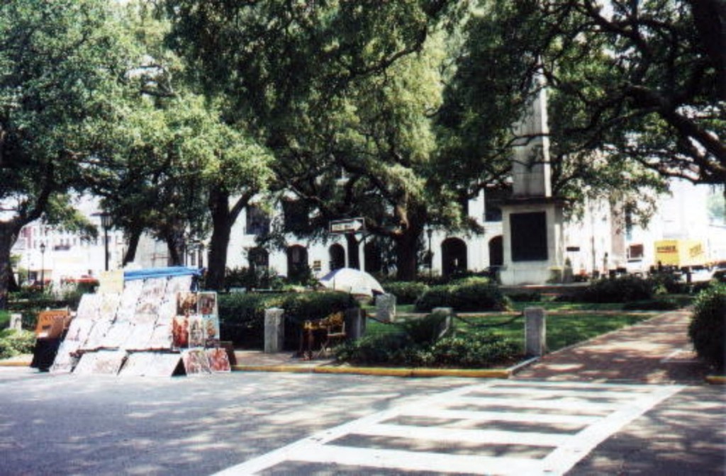 Somewhere in Savannah 1