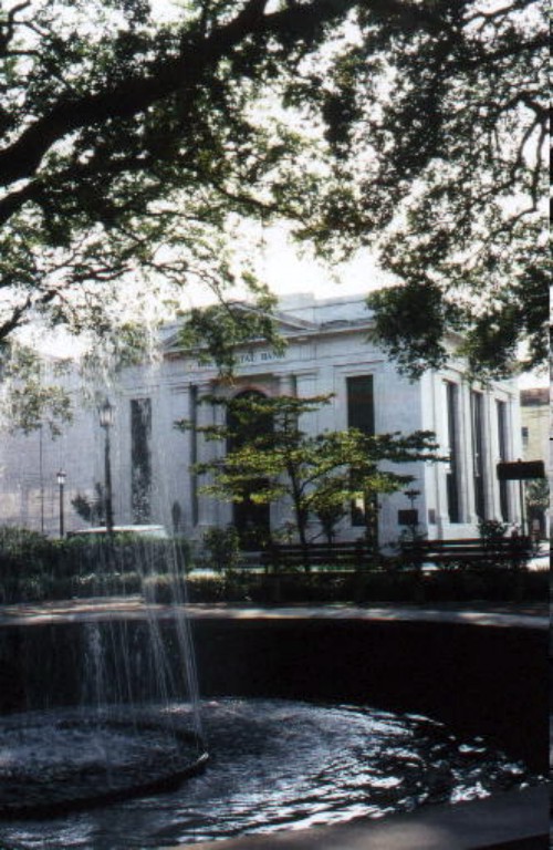 Somewhere in Savannah 3