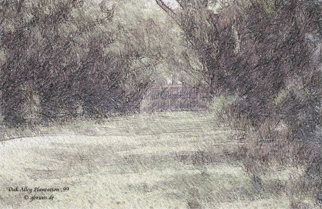 Oak Alley Plantation - Vacherie, LA