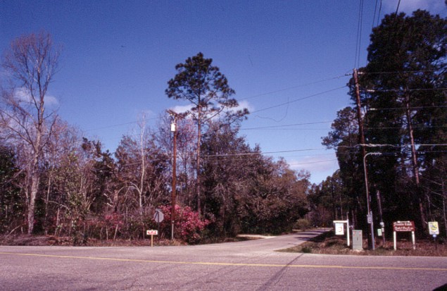 Somewhere in the deep south