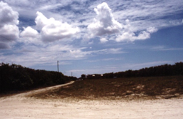 Somewhere in Florida