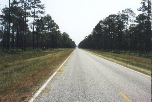 On the way to the Okefenokee Swamps